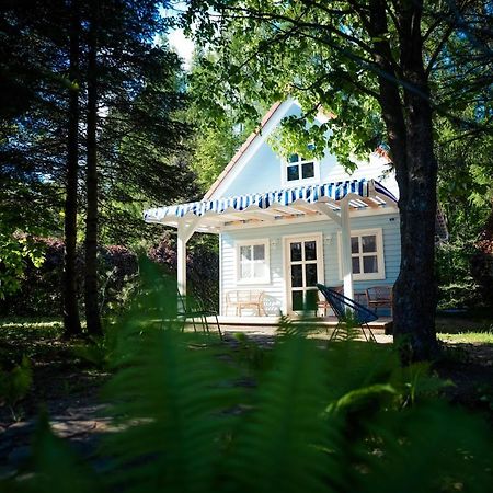 Апартаменты Kwiat Paproci Рын Экстерьер фото